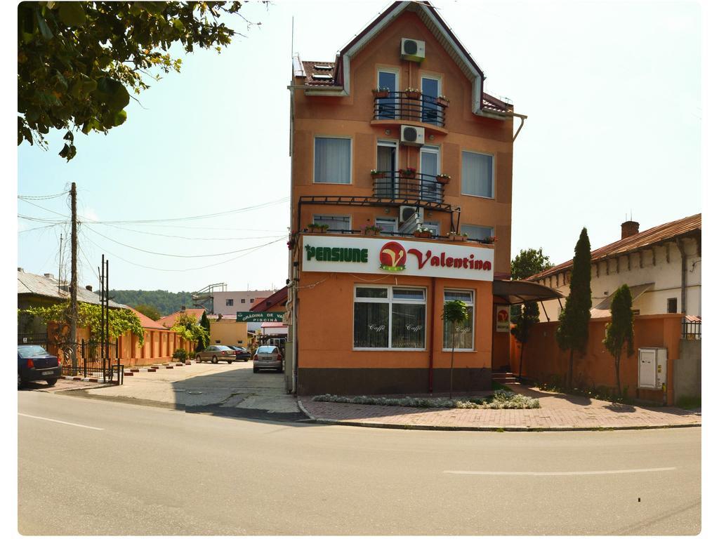 Pensiune Valentina Ξενοδοχείο Râmnicu Vâlcea Εξωτερικό φωτογραφία
